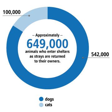 statistics dogs leave shelters
